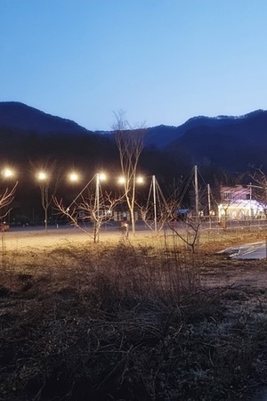 돌고래 오토캠핑장