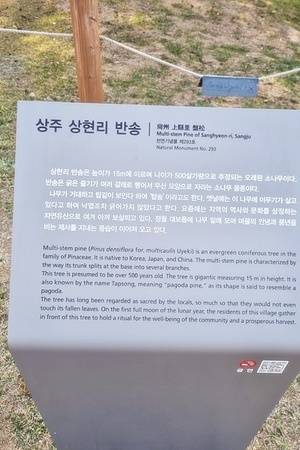 돌고래 오토캠핑장