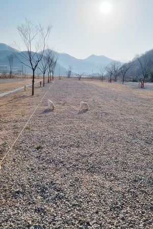 돌고래 오토캠핑장