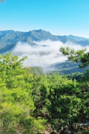 돌고래 오토캠핑장