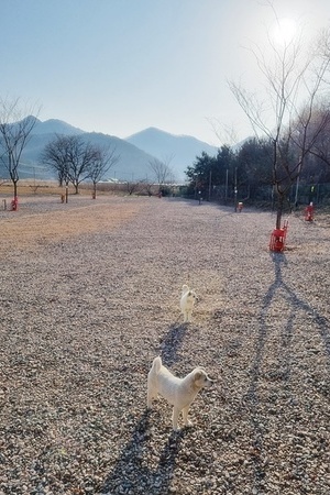 돌고래 오토캠핑장